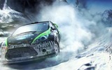 Dirt3_preview4