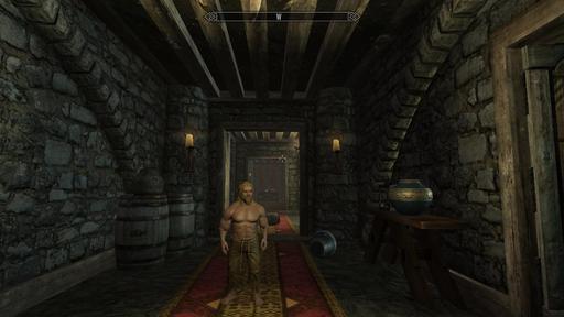 Elder Scrolls V: Skyrim, The - Новые расы для Skyrim (избранное) (Обновлено, добавлено два новых мода(14.08.2015))